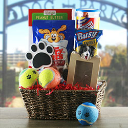Bark Buster - Dog Gift Basket