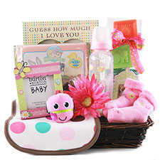 Bouncin Baby Girl - Baby  Gift Basket