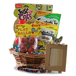 Cat Got Your Tongue - Cat Gift Basket