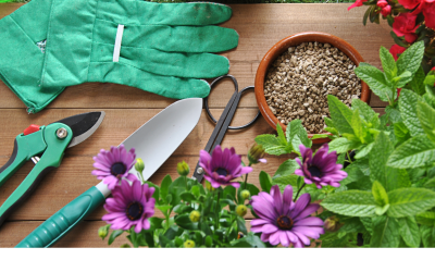 How to Spruce up for Spring