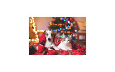 The Best Holiday Gift Ideas for Dog and Cat Lovers