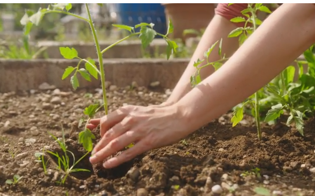 Sustainable Gift Ideas on How to Give Eco-Friendly Gifts