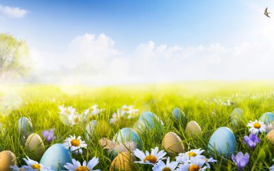 Easter Gift Baskets Delivered!