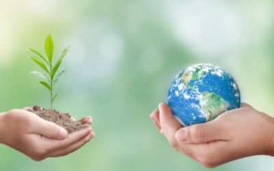 Sustainable Gift Ideas on How to Give Eco-Friendly Gifts