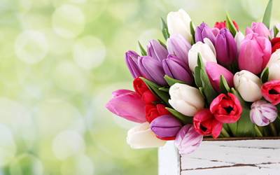 Fun Facts You Didn’t Know About Mother’s Day