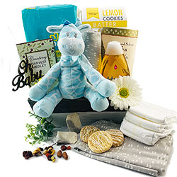 Baby Boy Gift Basket