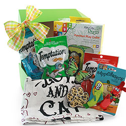 Crazy Cat Lady Cat Gift