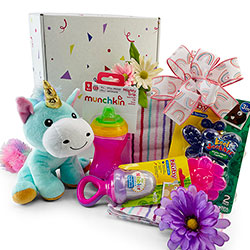 Daughters are Special - Baby Gift Basket