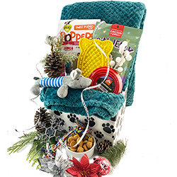 Deck the Dogs - Christmas Gift Basket