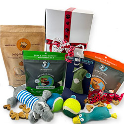 Faithful Friend Dog Gift Box