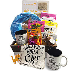 For the Love of Cats- Pet Gift Basket - Cat