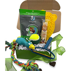 New Puppy Gift Box