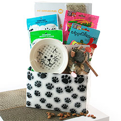 The Purrfect Cat Basket