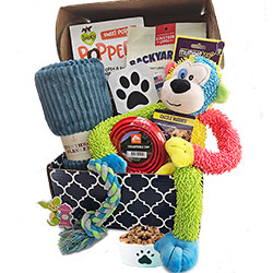 Ruff Day - Dog Gift Basket