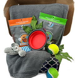 Ruff Day - Dog Gift Basket