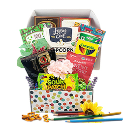 Splash of Color -  Adult Coloring Book Gift Basket