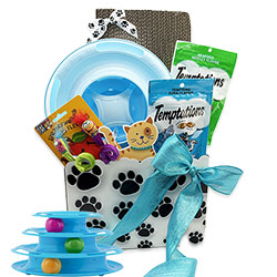 UltimatUltimate Cat Lover Gift Baskete Cat Lover Gift Basket