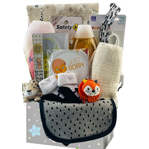 Sm Baby Gift Basket BABYBX