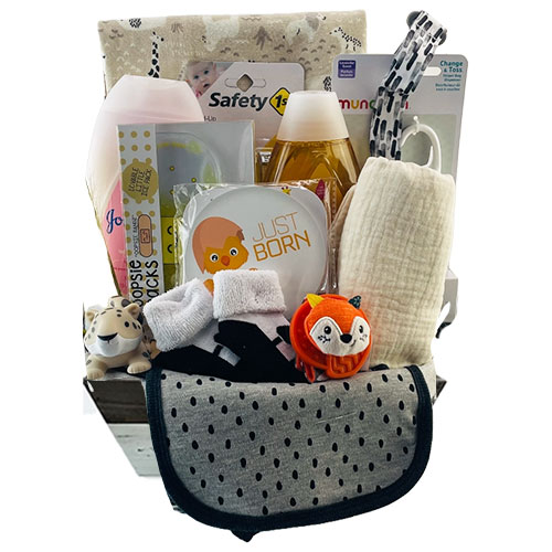Sm Baby Gift Basket BP1004