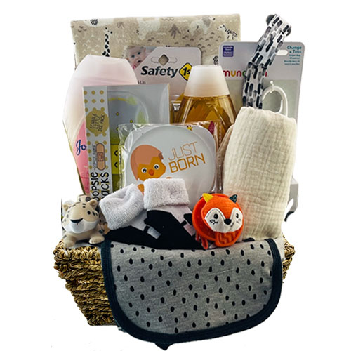 Sm Baby Gift Basket BP1009