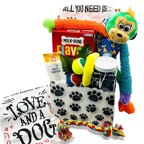 Pet Gift Baskets: It s a Dogs Life Pet Gift Basket Dog | DIYGB