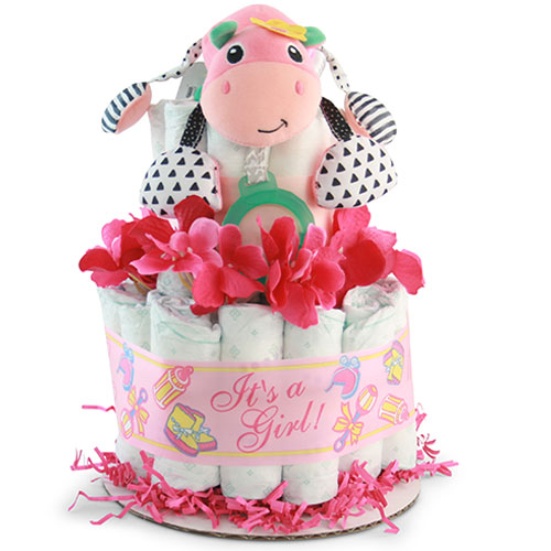 Girls Wanna Have Fun Diaper Cake