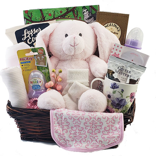 Little Princess Baby Gift Basket