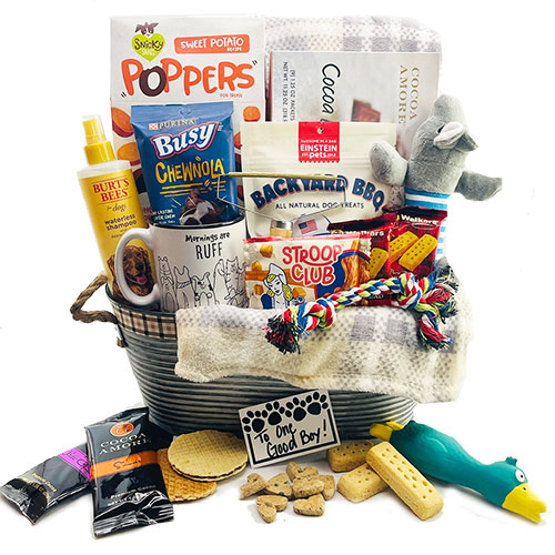 10 Things To Put In A Welcome To The Family New Dog Gift Basket